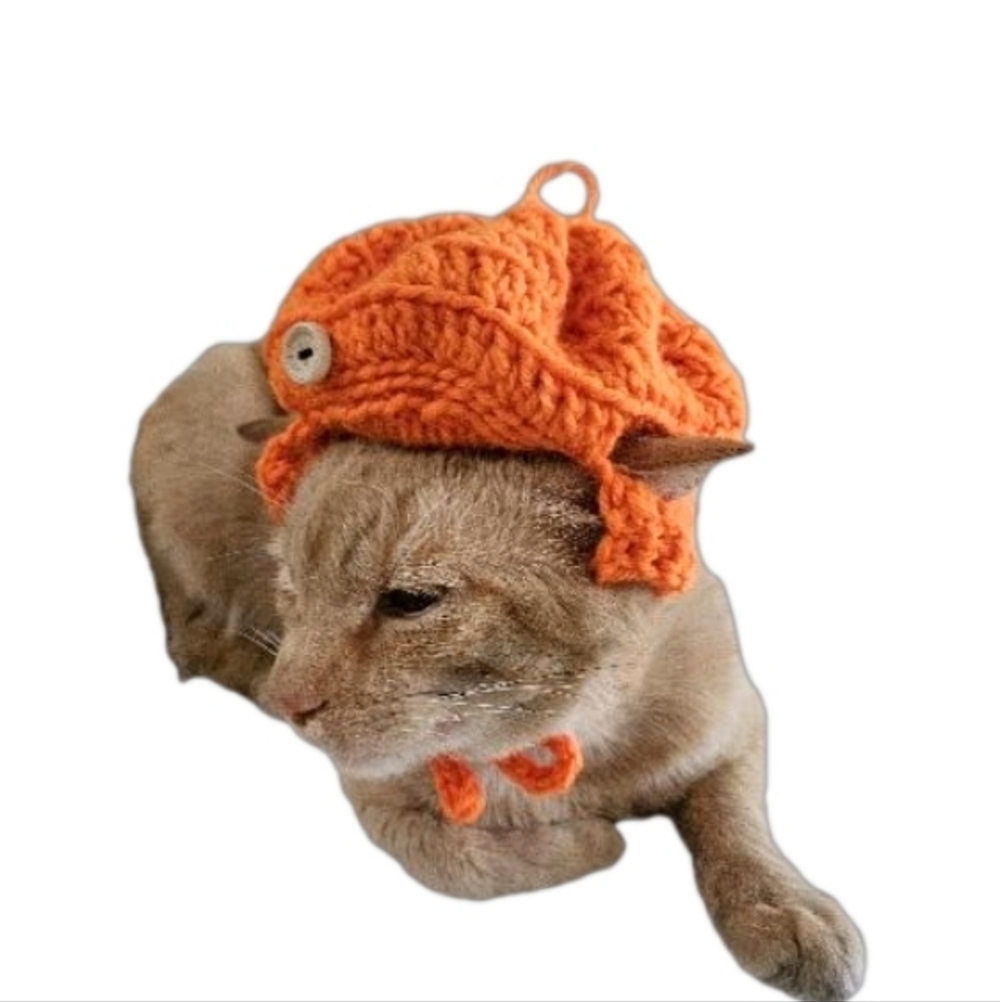 Handmade Halloween Crochet Pumpkin Hat for Cats or Small Dogs – Fall Pet Costume - Picture 10 of 16